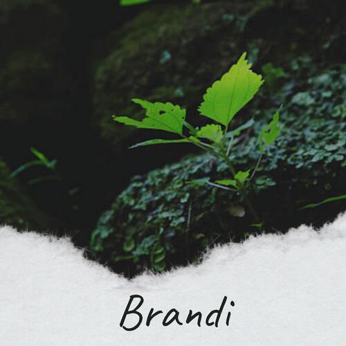 Brandi cover art