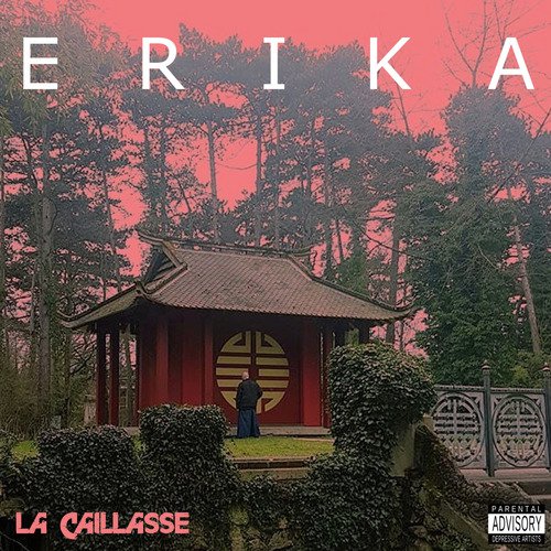 Erika cover art