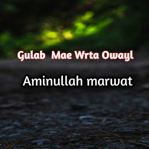 Gulab Mae Wrta Owayl