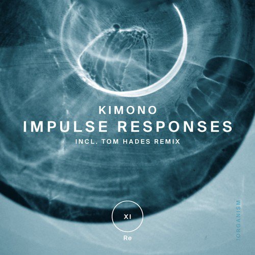 Impulse Responses