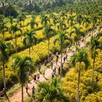 Lihat Kebun Sawit