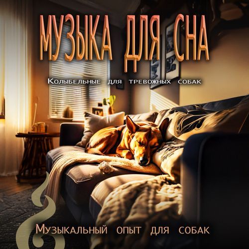 Музыка для сна: Колыбельные для тревожных собак