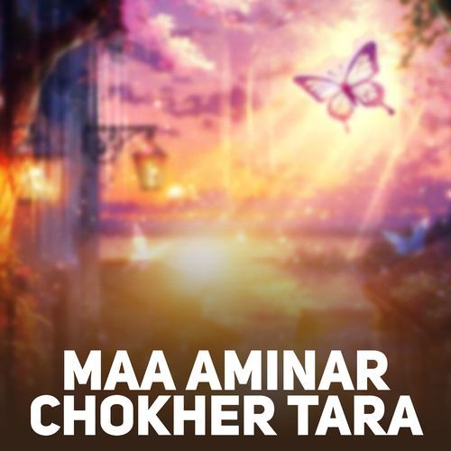 Maa Aminar Chokher Tara