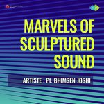 Marvels Of Sculptured Sound