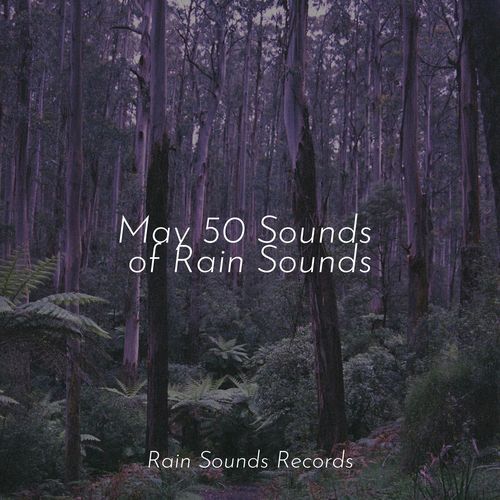 May 50 Sounds of Rain Sounds