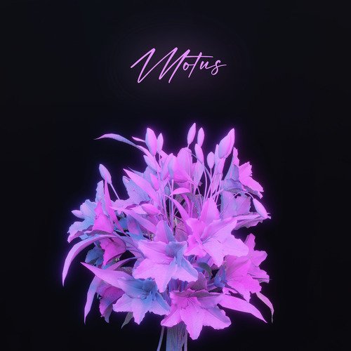 Motus cover art