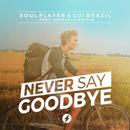 Never Say Goodbye (feat. Vanessa) (Original Mix)