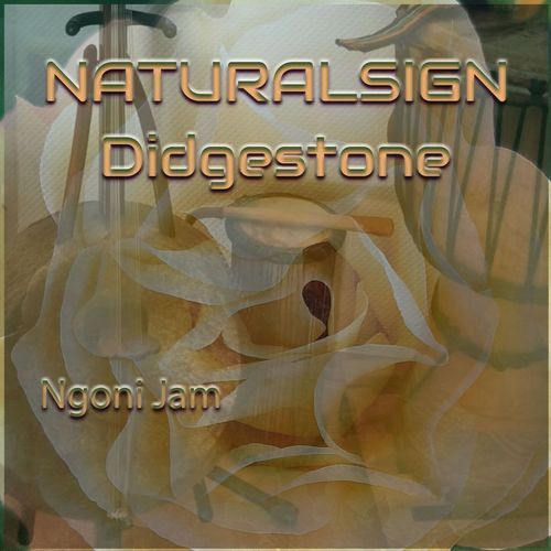 Ngoni Jam cover art