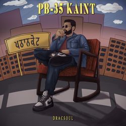 PB 35 Kaint