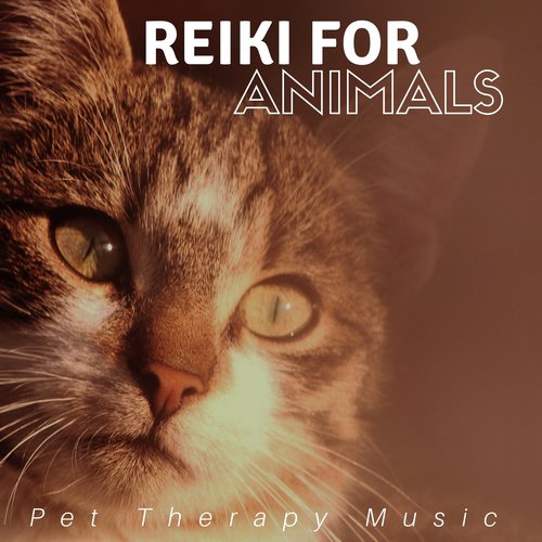 Reiki for Animals: Pet Therapy Music for Deep Relaxation of Cats and Dogs