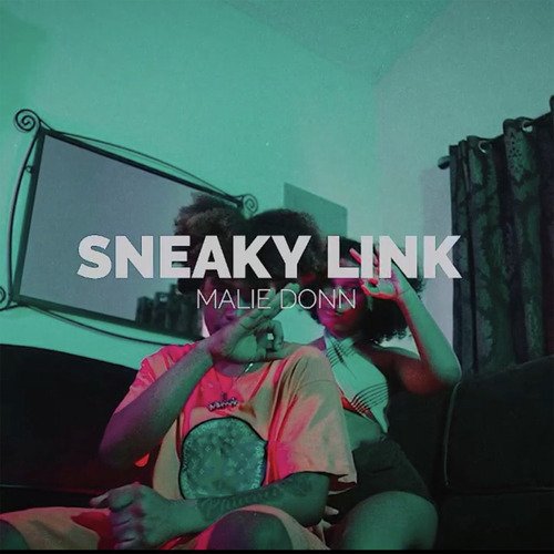 Sneaky Link