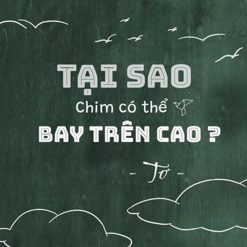 Tại sao chim có thể bay trên cao ?_poster_image