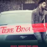 Tere Bina
