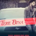 Tere Bina