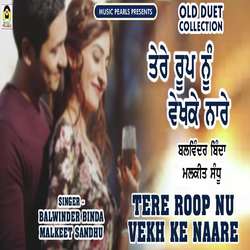 Tere Roop Nu Vekhke Naare-RBgsAwR3BWs