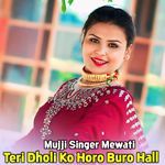 Teri Dholi Ko Horo Buro Hall