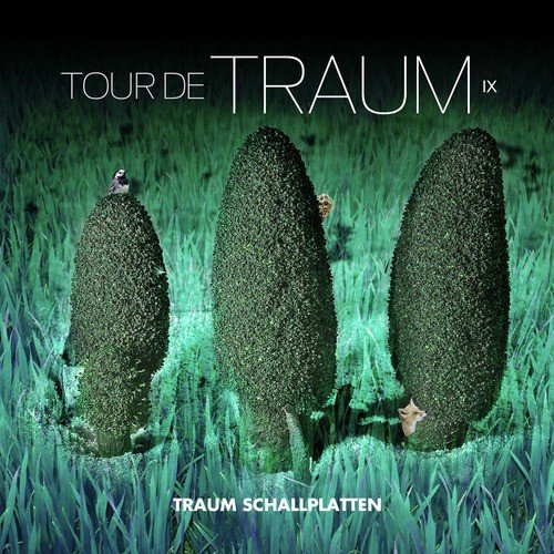 Tour De Traum IX Mixed By Riley Reinhold