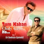 Tum Kahan Chaly Gaye Ho