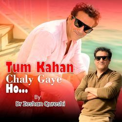 Tum Kahan Chaly Gaye Ho