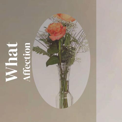 What Affection cover art