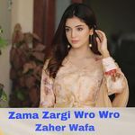 Zama Zargi Wro Wro