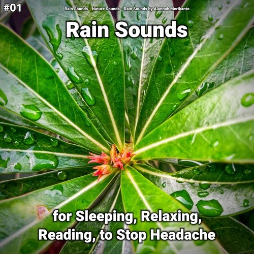 Rain Sounds to Fall Asleep cover art