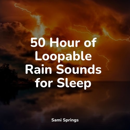 50 Hour of Loopable Rain Sounds for Sleep_poster_image