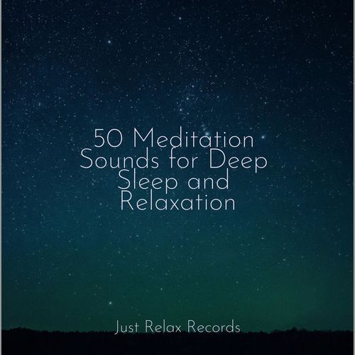 50 Meditation Sounds for Deep Sleep and Relaxation_poster_image