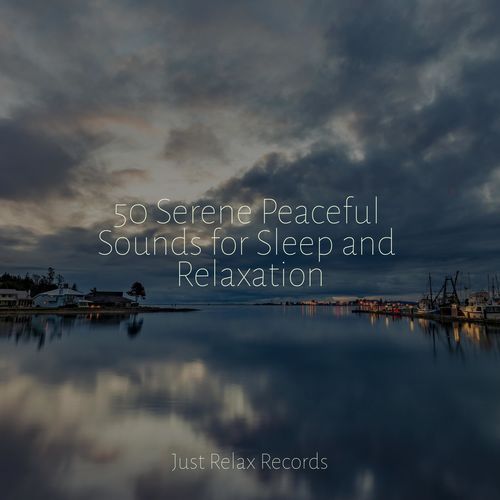 50 Serene Peaceful Sounds for Sleep and Relaxation