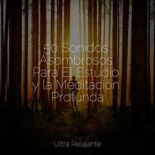 Arena Y Agua cover art
