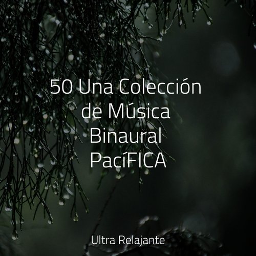 Fuente De Energía cover art