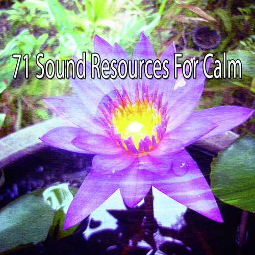 71 Sound Resources For Calm_poster_image