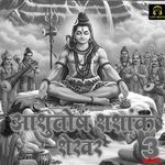 Ashutosh Shashank Shekhar 3 LOFI