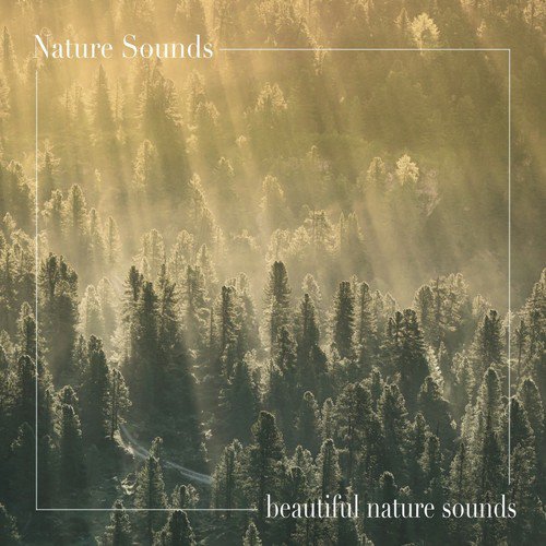 Harmonious cover art