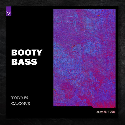 Booty Bass_poster_image