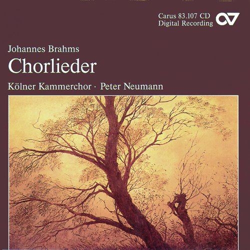 Brahms: Chorlieder_poster_image