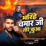 Brihe Chamar Ji Tore Kuwan