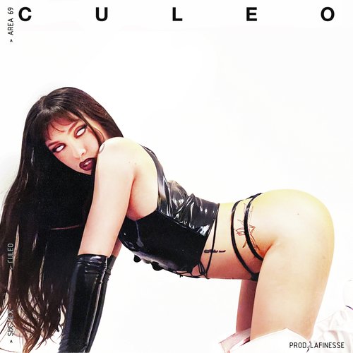 CULEO_poster_image