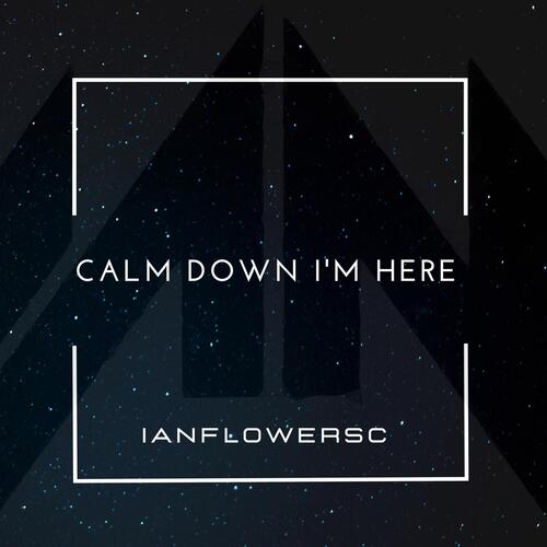Calm down i'm here cover art