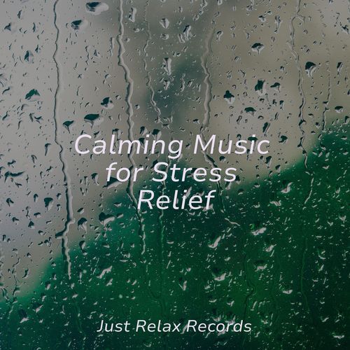 Calming Music for Stress Relief