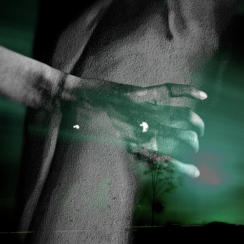 Los Àrboles cover art