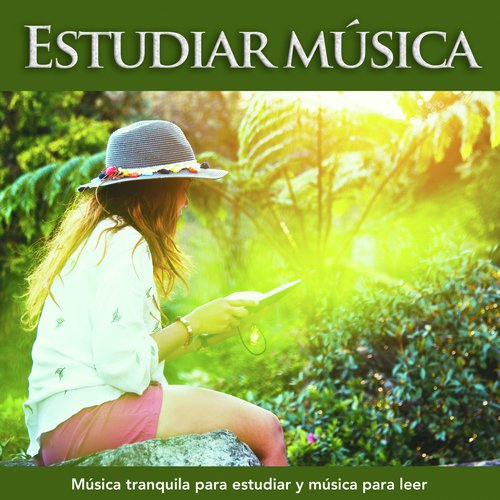 Musica para estudiar cover art