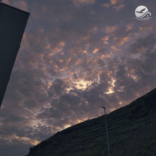 Evening Sky
