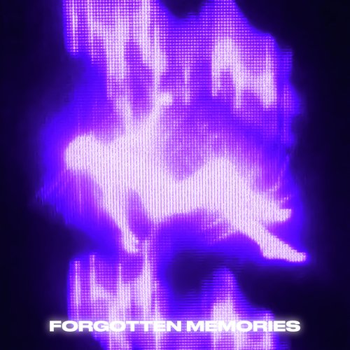 Forgotten Memories
