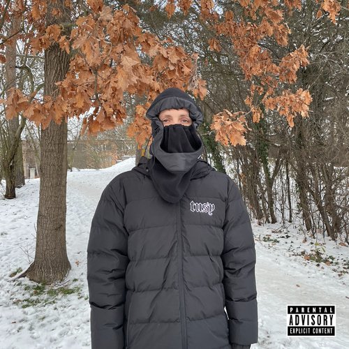 Inside Insane (Freestyle) cover art