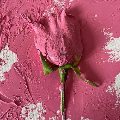 Juan cover art