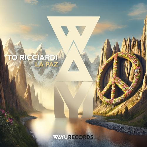 Cinco (Turu Anasi Remix) cover art