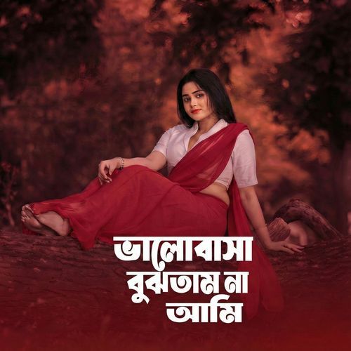 ভালোবাসা বুঝতাম না আমি