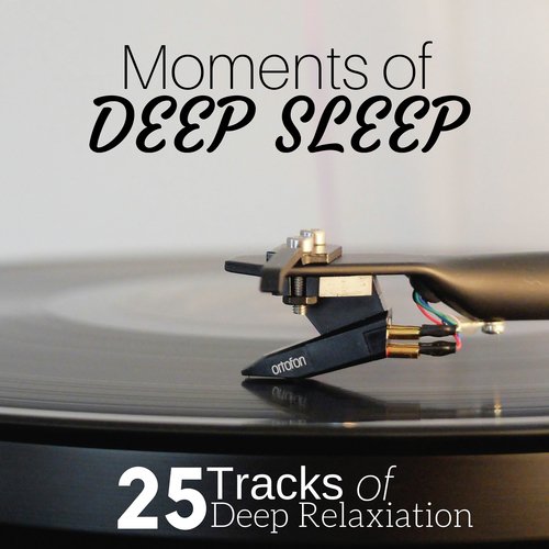 Moments of Deep Sleep: 25 Tracks of Deep Relaxiation for Deep Sleep, Relaxation After Long Day, Nature Sounds