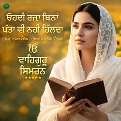 Ohdi Raza Bina Patta Vi Nahi Hilda